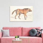 Charles Hamilton Smith - Maned Wolf Leinwanddruck (Insitu (Wohnzimmer))