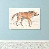 Charles Hamilton Smith - Maned Wolf Leinwanddruck (Insitu (Holzboden))