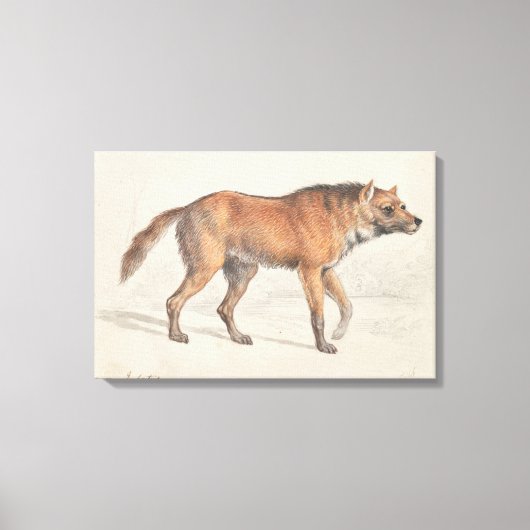 Charles Hamilton Smith - Maned Wolf Leinwanddruck (Vorderseite)