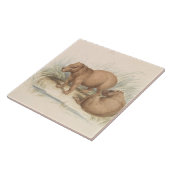 Charles Hamilton Smith - The Capybara Fliese (Seite)