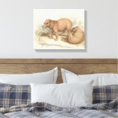Charles Hamilton Smith - The Capybara Leinwanddruck (Insitu (Schlafzimmer))