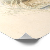 Charles Hamilton Smith - The Capybara Poster (Ecke)
