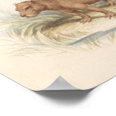 Charles Hamilton Smith - The Capybara Poster (Ecke)