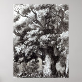 Charles II versteckt im Eichenbaum Poster (Vorne)