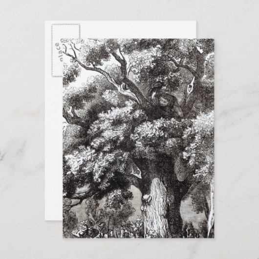 Charles II versteckt im Eichenbaum Postkarte (Vorne/Hinten)