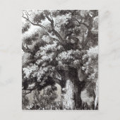 Charles II versteckt im Eichenbaum Postkarte (Vorderseite)