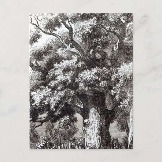 Charles II versteckt im Eichenbaum Postkarte (Vorderseite)