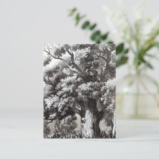 Charles II versteckt im Eichenbaum Postkarte (Stehend Vorderseite)