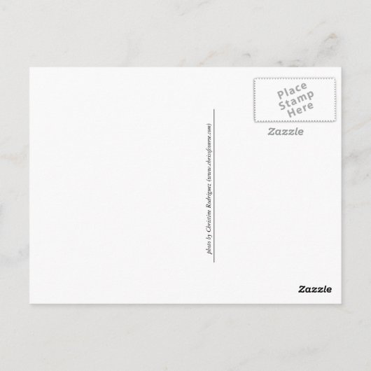 Charles Island Postkarte (Rückseite)