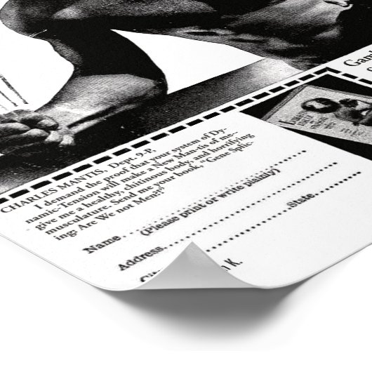 Charles Mantis Poster (Ecke)