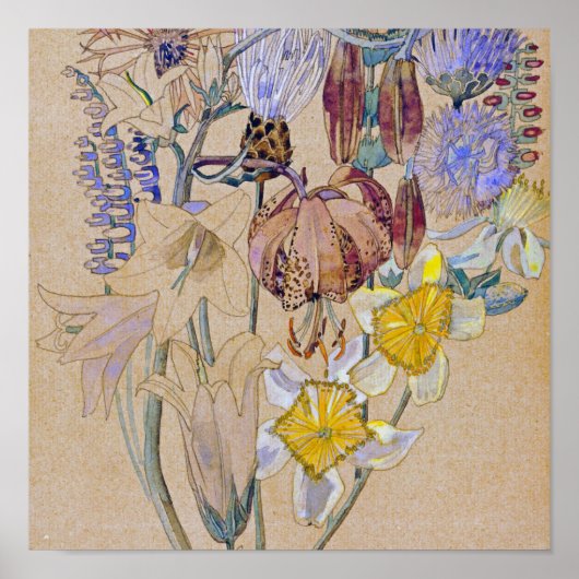 Charles Rennie Mackintosh - Mont Louis - Blume Poster (Vorne)