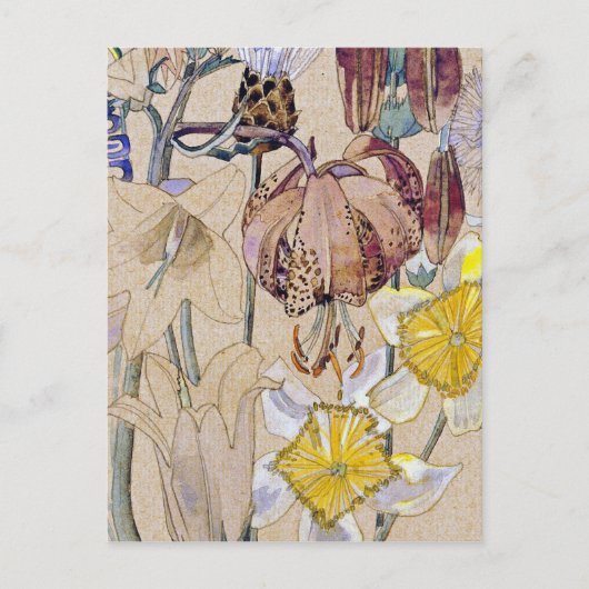 Charles Rennie Mackintosh - Mont Louis - Blume Postkarte (Vorderseite)