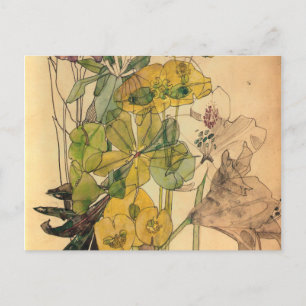 Charles Rennie Mackintosh - Spurge With Yham 1909 Feiertagspostkarte