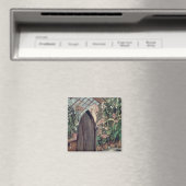 Charles Robert Darwin Magnet (In Situ (Geschirrspüler))