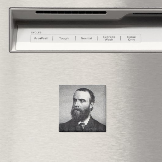 Charles Stewart Parnell Magnet (In Situ (Geschirrspüler))