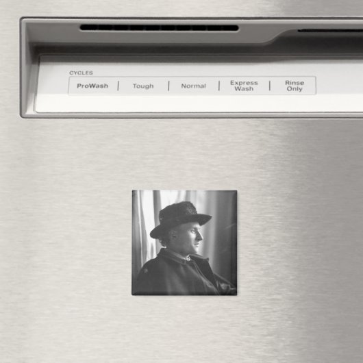 Charles Voysey Magnet (In Situ (Geschirrspüler))