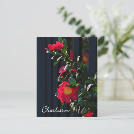 Charleston Camelia Postcard Postkarte (Stehend Vorderseite)