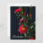 Charleston Camelia Postcard Postkarte (Vorne/Hinten)