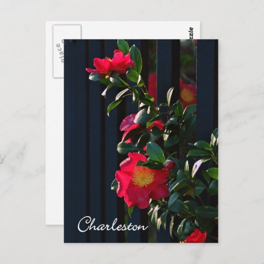 Charleston Camelia Postcard Postkarte (Vorne/Hinten)