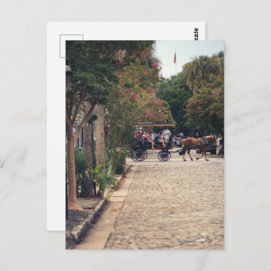 Charleston Cobbles Postkarte (Vorne/Hinten)