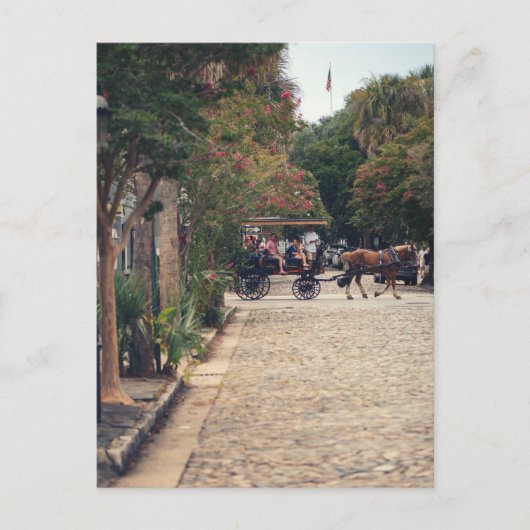 Charleston Cobbles Postkarte (Vorderseite)