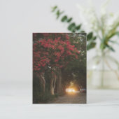 Charleston Crape Myrtle Postkarte (Stehend Vorderseite)