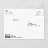 Charleston Harbour Boats Sunset Blank Post Card Postkarte (Rückseite)