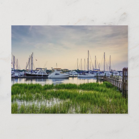 Charleston Harbour Boats Sunset Blank Post Card Postkarte (Vorderseite)