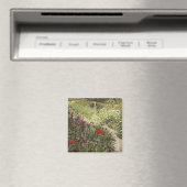 Charleston II 2013 Magnet (In Situ (Geschirrspüler))