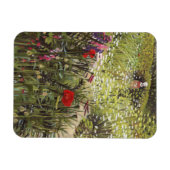 Charleston II 2013 Magnet (Horizontal)