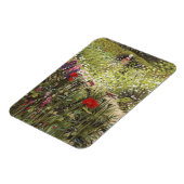 Charleston II 2013 Magnet (Linke Seite)