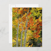 Charleston, Las Vegas, NV Aspens Postcard Postkarte (Vorne/Hinten)