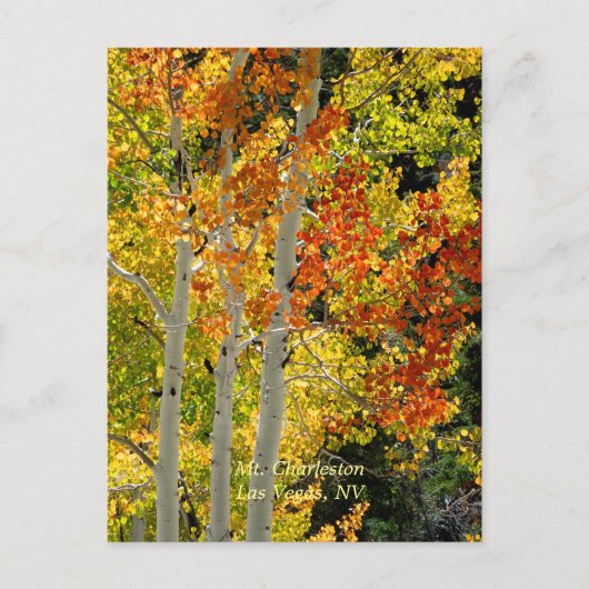 Charleston, Las Vegas, NV Aspens Postcard Postkarte (Vorderseite)