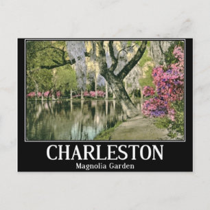 Charleston, Magnolien-Gärten, Vintage Postkarte