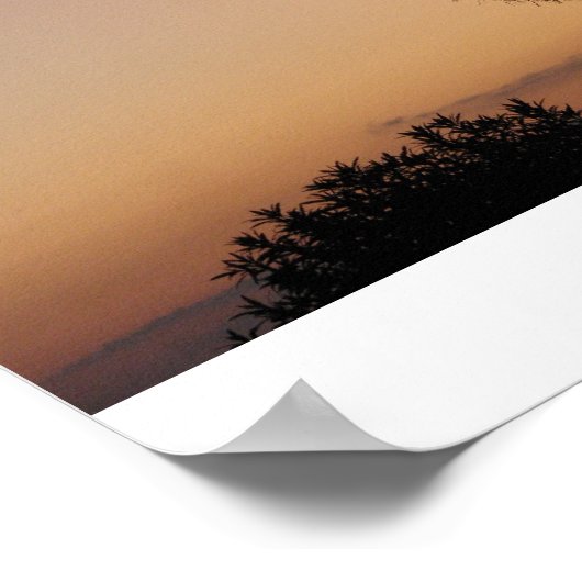 Charleston Palm Poster (Ecke)