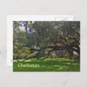 Charleston Plantation Oak Trees Postcard Postkarte (Vorne/Hinten)