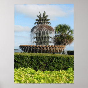 Charleston Sc-Ananas-Brunnen-Druck Poster