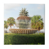 Charleston Sc-Ananas-Brunnen, Ufergegend-Park Fliese (Vorderseite)