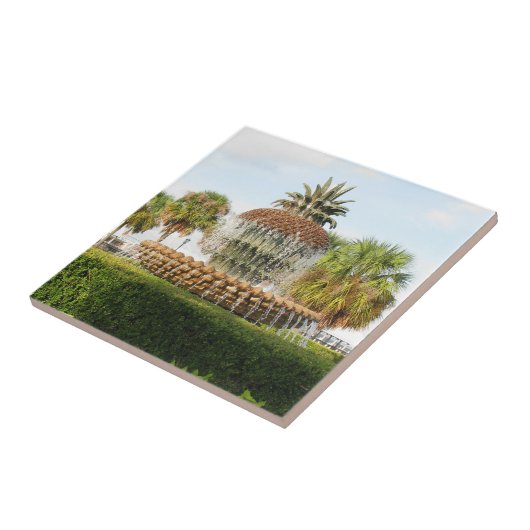 Charleston Sc-Ananas-Brunnen, Ufergegend-Park Fliese (Seite)