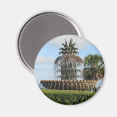 Charleston SC Ananas Fountain Magnet (Vorderseite/Rückseite)