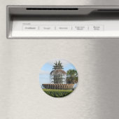 Charleston SC Ananas Fountain Magnet (In Situ (Geschirrspüler))