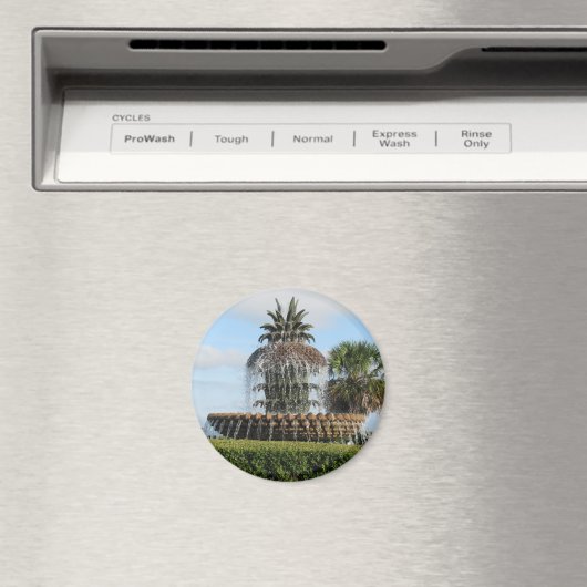 Charleston SC Ananas Fountain Magnet (In Situ (Geschirrspüler))