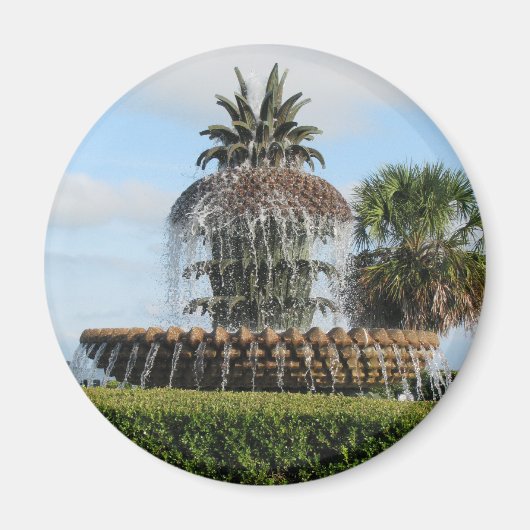 Charleston SC Ananas Fountain Magnet (Vorne)