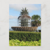 Charleston SC Ananas Fountain Postcard Postkarte (Vorderseite)