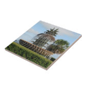 Charleston SC Ananas Fountain Tile Fliese (Seite)
