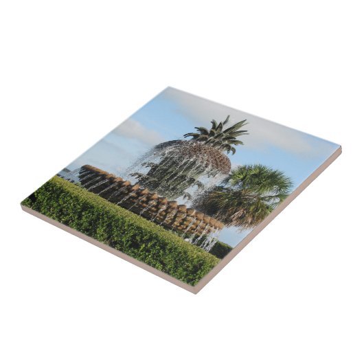 Charleston SC Ananas Fountain Tile Fliese (Seite)