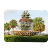 Charleston SC Ananas Fountain, Waterfront Park Magnet (Horizontal)