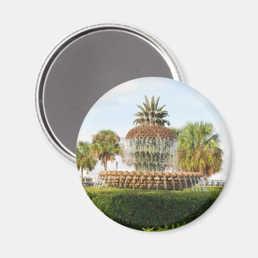 Charleston SC Ananas Fountain, Waterfront Park Magnet (Vorderseite/Rückseite)