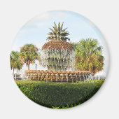 Charleston SC Ananas Fountain, Waterfront Park Magnet (Vorne)