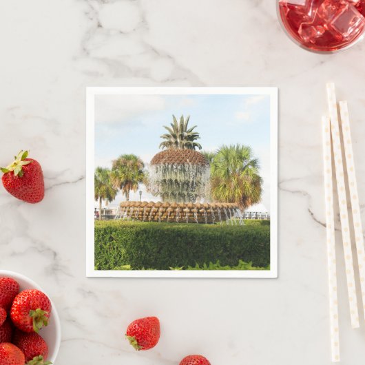 Charleston SC Ananas Fountain, Waterfront Park Serviette (Beispiel)